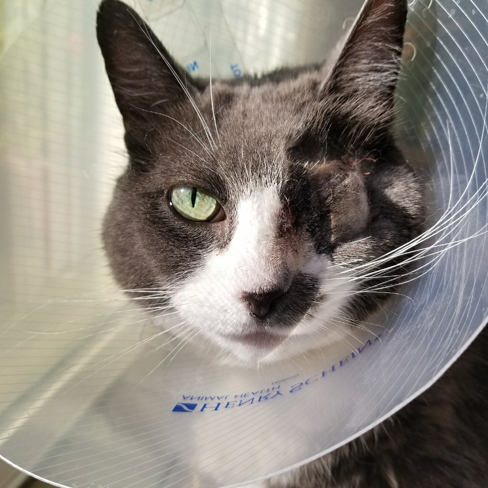 Meet your Posher, Caitlin